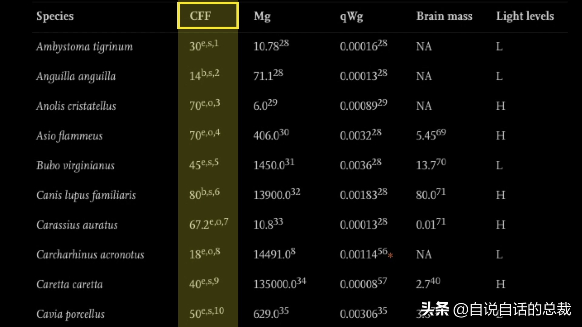 元宇宙给我们带来的影响,元宇宙对普通生活的影响
