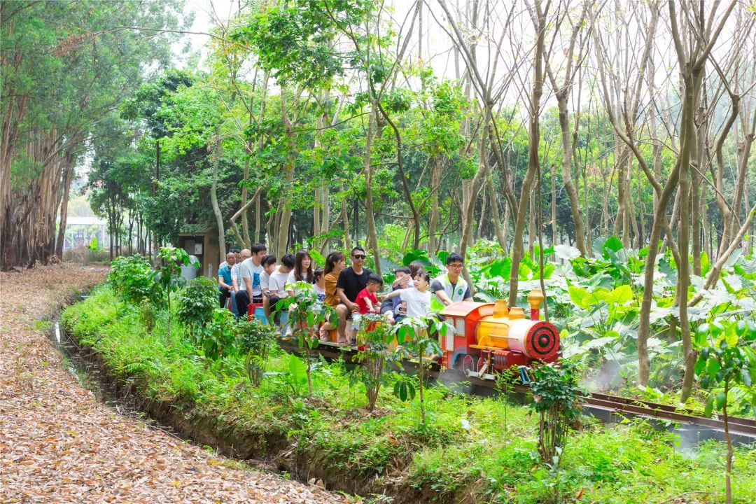 麻涌国庆游玩好去处,麻涌周末去哪玩