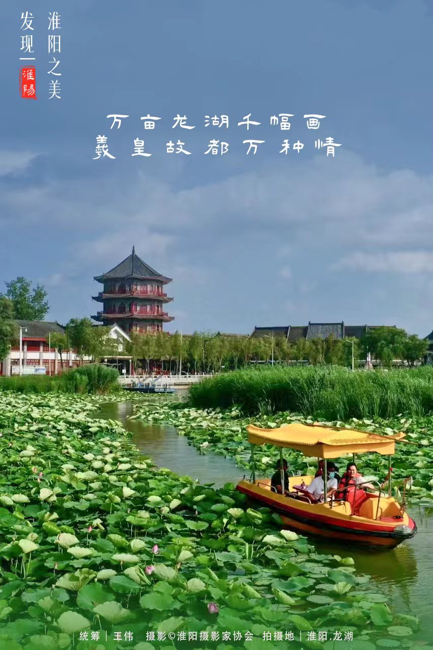 河南周口淮阳荷花节开幕会在哪里,周口淮阳荷花节开始了吗