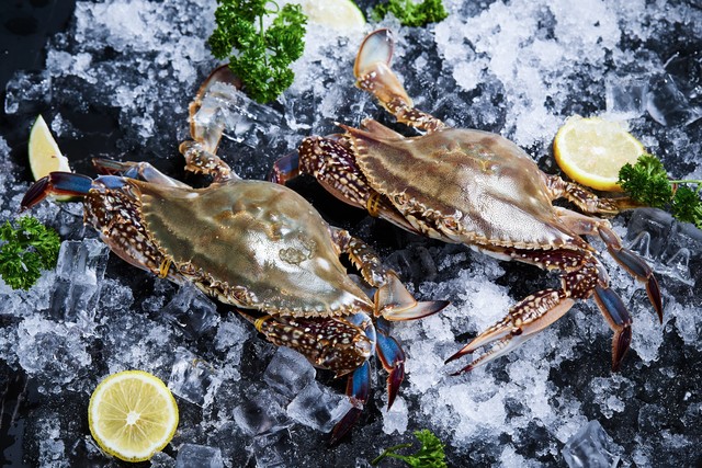 舟山梭子蟹营养,舟山特产海鲜腌制梭子蟹