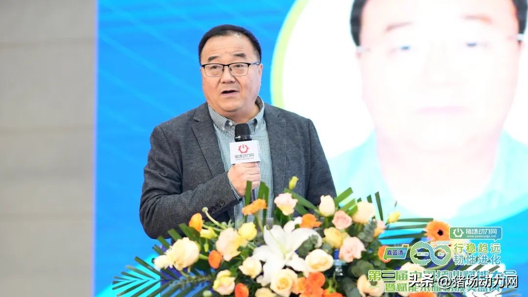 高度关注！禁抗下，植物提取物百香佳、百香对猪增生性肠炎的疗效