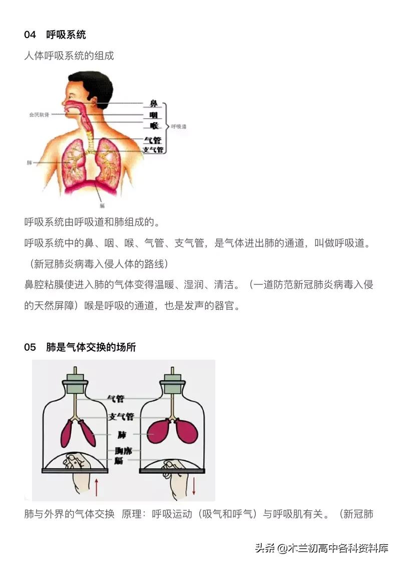 初中生物病毒必考题,初中生物病毒填空题答案