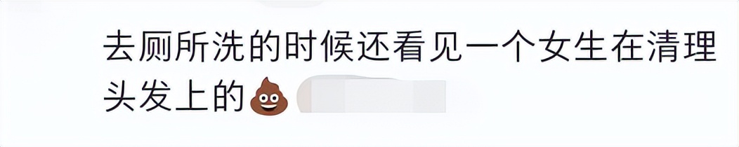 喂过一次大连海鸥，人类就要为自己的弱小羞愧