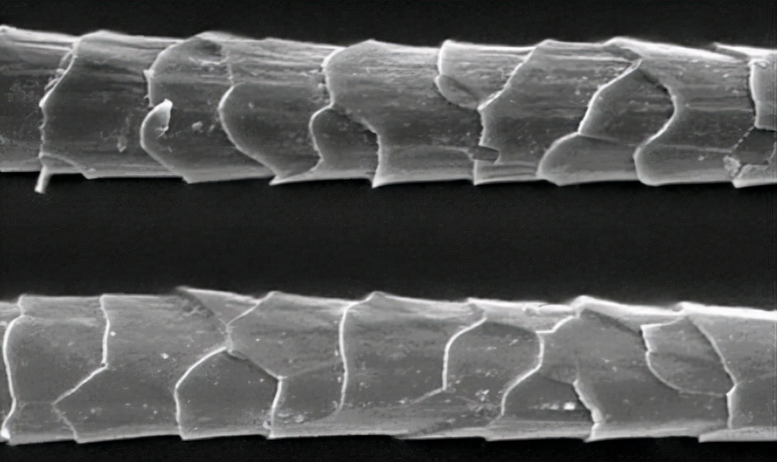 洗衣机羊毛黑标和羊毛绿标的区别,获得羊毛绿标认证的洗衣机品牌