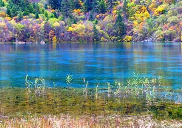 人间仙境九寨沟图片,人间仙境九寨风景图片