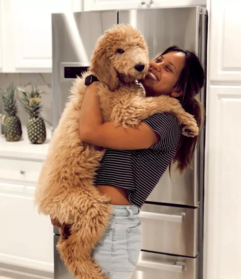 小黄狗长大的过程,小黄狗长大过程