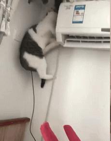 女朋友过生日送七夕礼物,女朋友送我生日礼物感动哭了