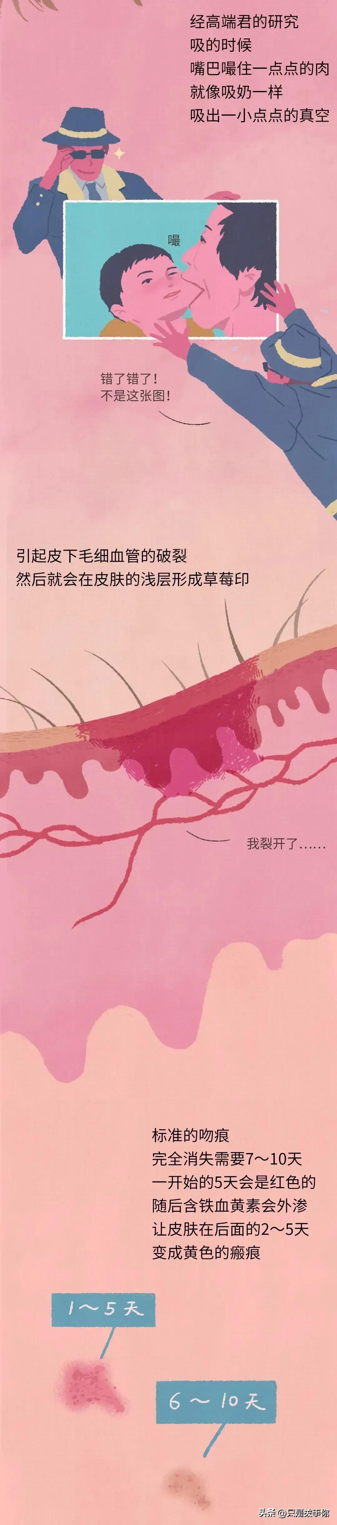 漫画里种草莓的人,漫画种草莓