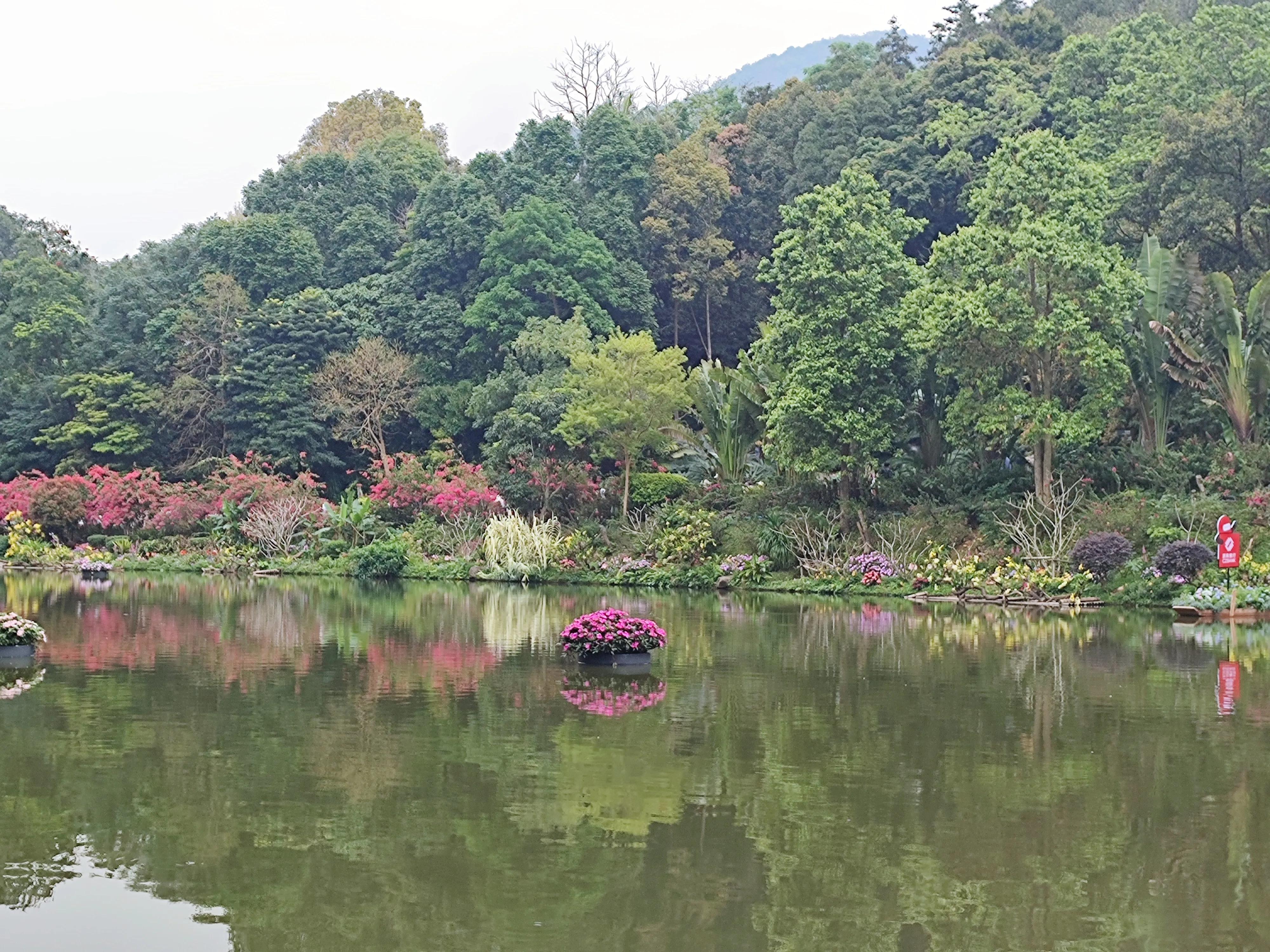 辟谷修仙记第6部：我对自己多狠呀！左一刀右一刀的砍自己