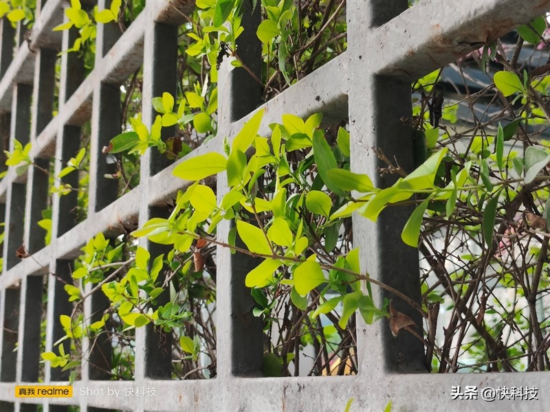 真我gtneo5se对比骁龙865,真我gtneo5se是第一代骁龙7+吗