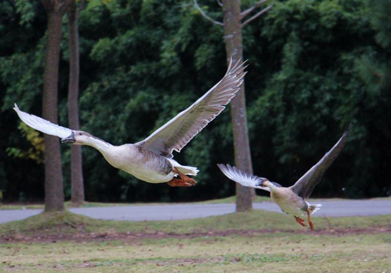 100句最经典古诗词名句,最值得深思的一句古诗词