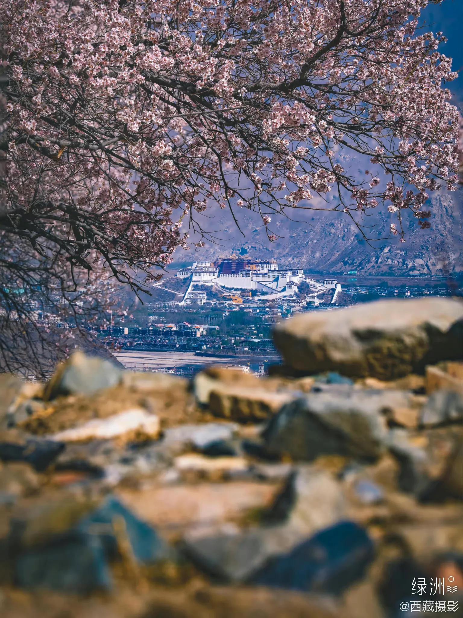 藏西攻略,藏西小众秘境