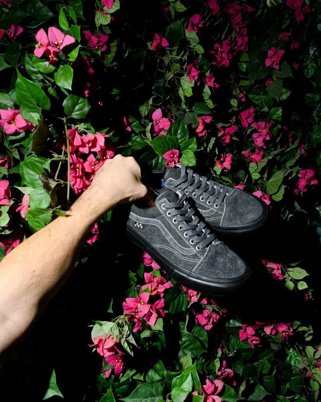 vans2023联名系列,新款vansskateboarding