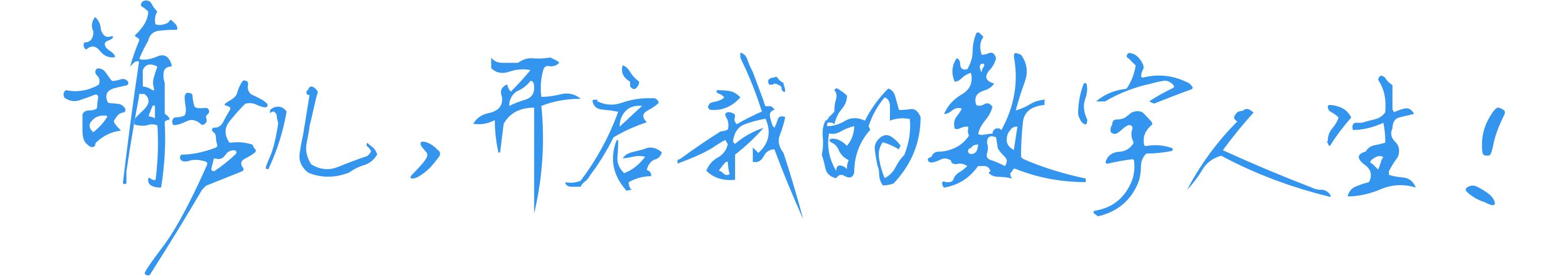 WebDAV之葫芦儿·派盘+WPS