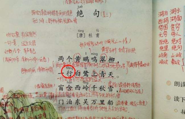 一行（xing）白鹭上青天，课本读音引争议，家长：之前书白读了