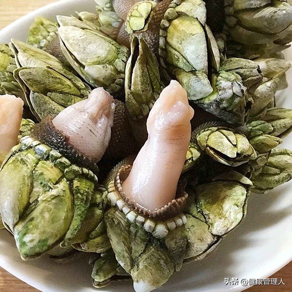 世界顶级海鲜食材,世界顶级的海鲜视频