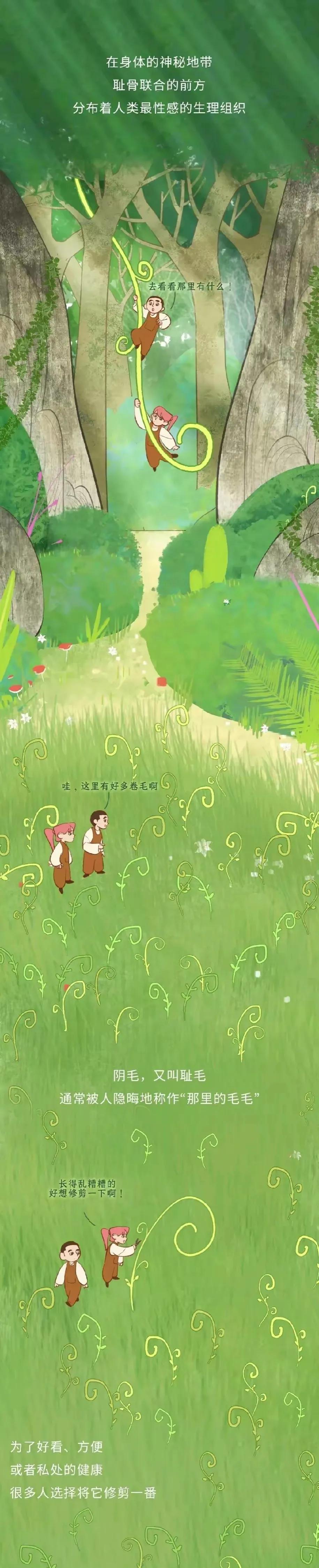 漫画分享：人类阴毛从出生到脱落全过程解析！
