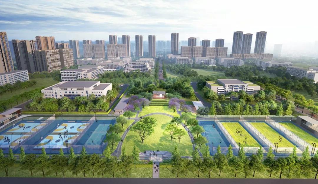 郫都区篮球公园,郫都打篮球的地方