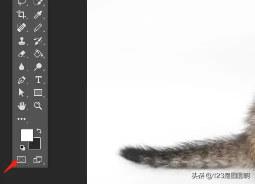 ps制作猫咪眼睛,ps怎么扣猫咪