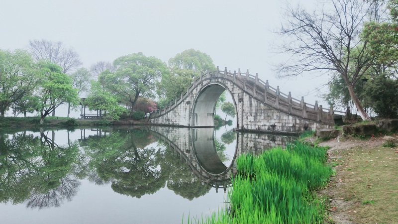 离体肺通气装置中真空和压力控制的解决方案