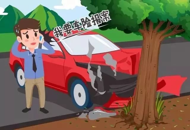 开车撞人了怎么处理与赔偿,开车撞了人怎么处理最好保险