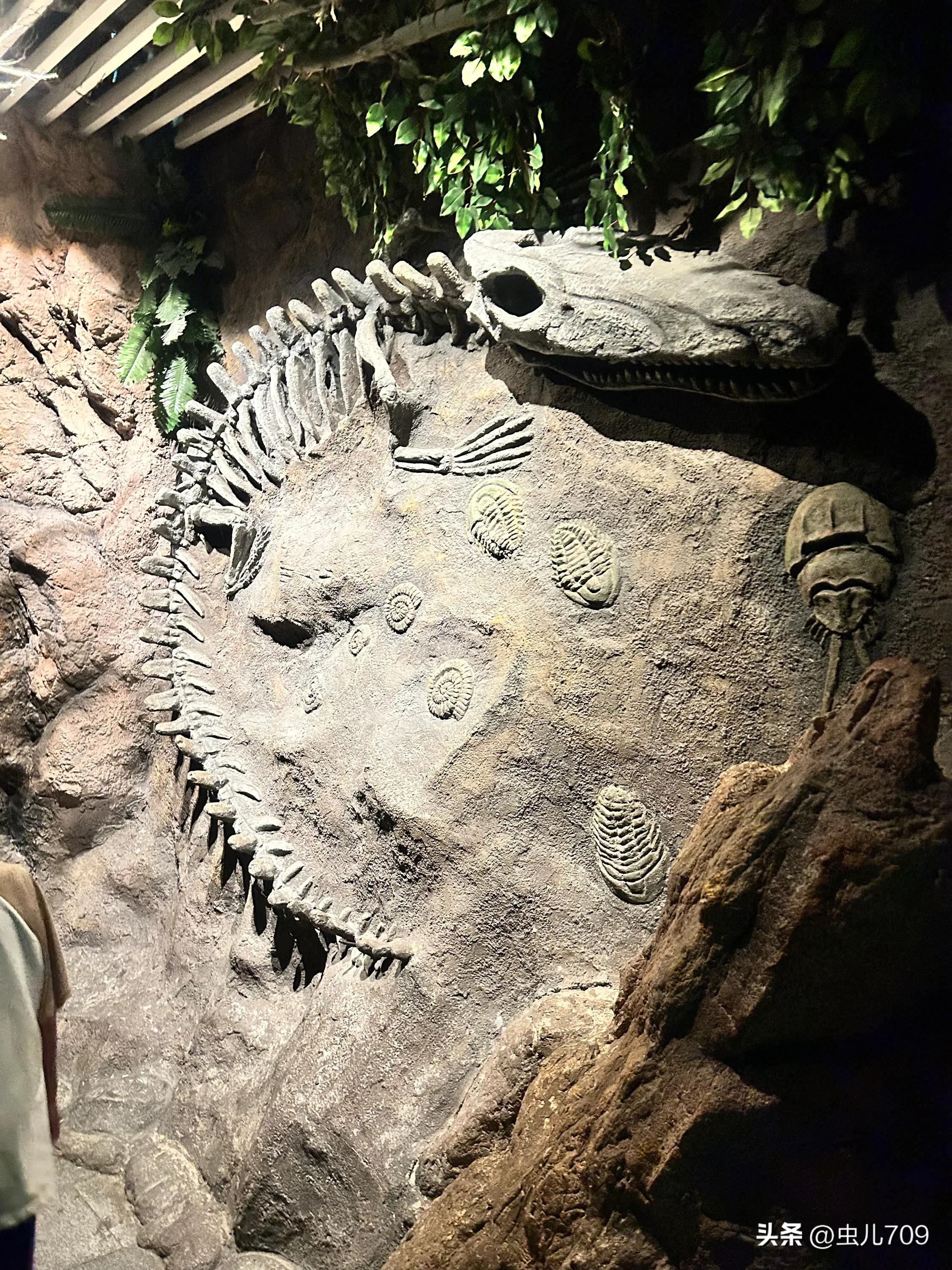 青岛海底世界视频,青岛海底世界和极地海洋世界