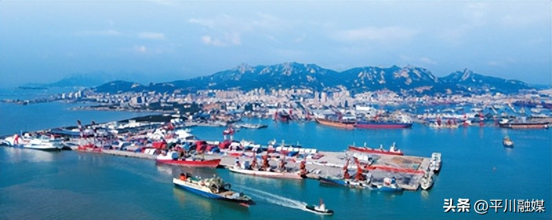 国内的转运公司反向海淘,国际集运反向海淘2024