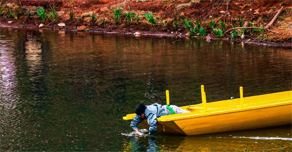 五十公里桃花坞第3季王鹤棣,五十公里桃花坞王鹤棣王传君预告