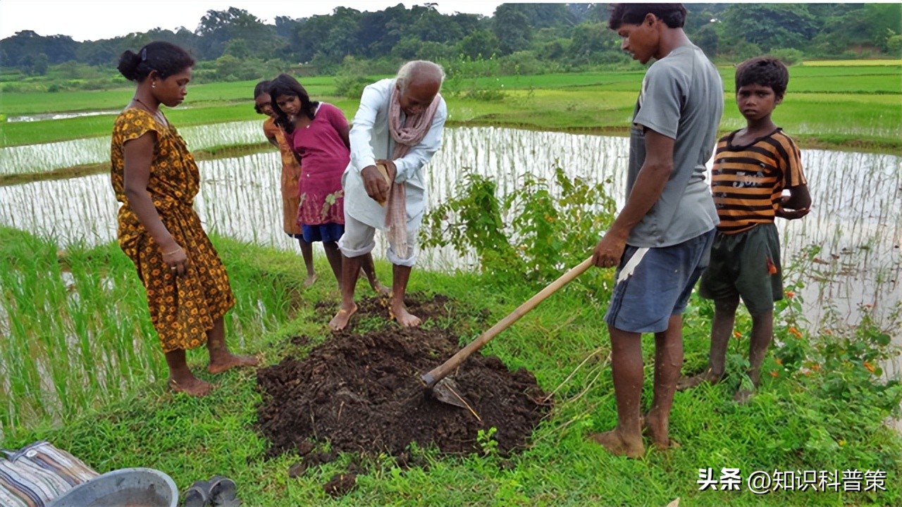 印度有多少人口2021年有多少人,印度人口多少亿2019全国总人数