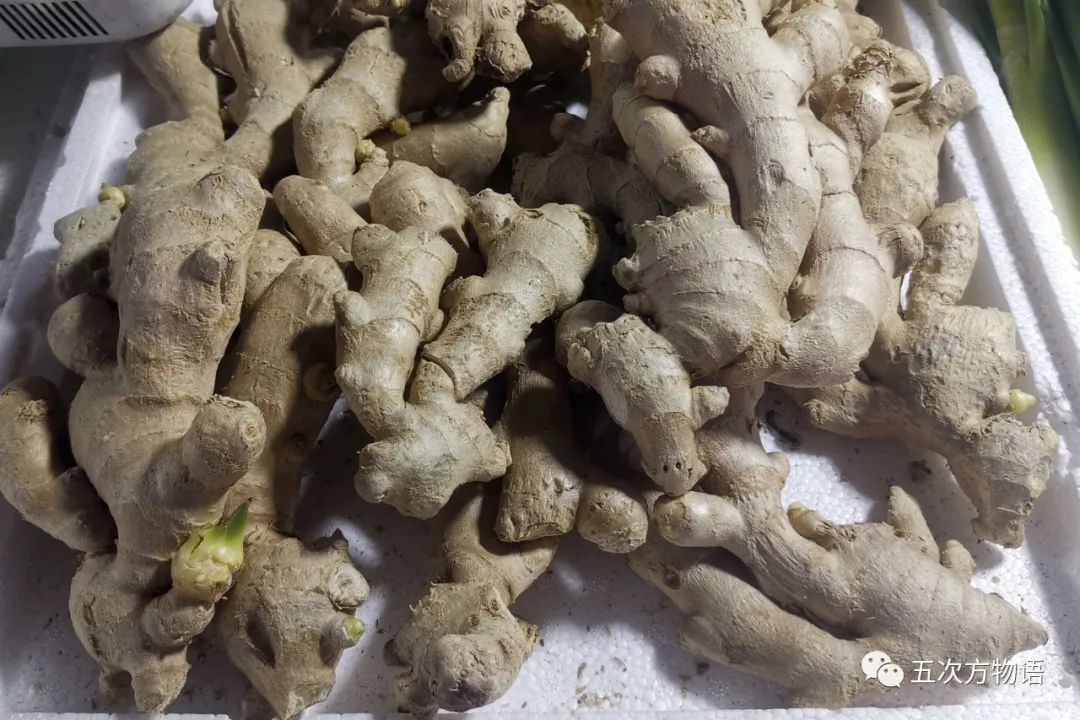 姜类香辛料都包含哪些种,12种必须了解的香料作用和用量