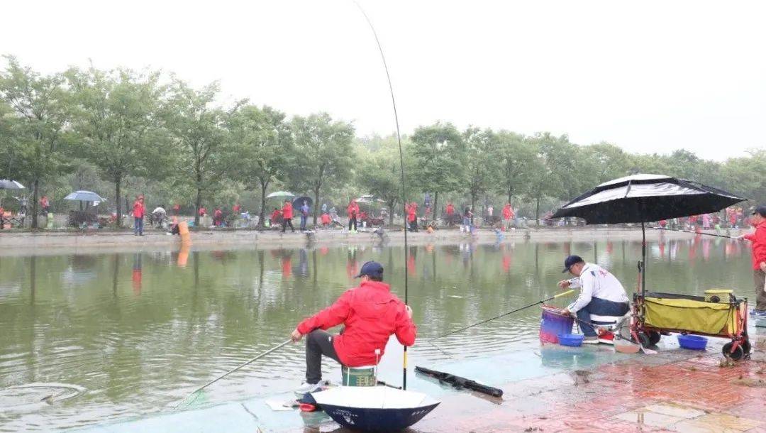 朱巧林夜钓争霸赛视频,第四届和善园杯星钓联赛总决赛