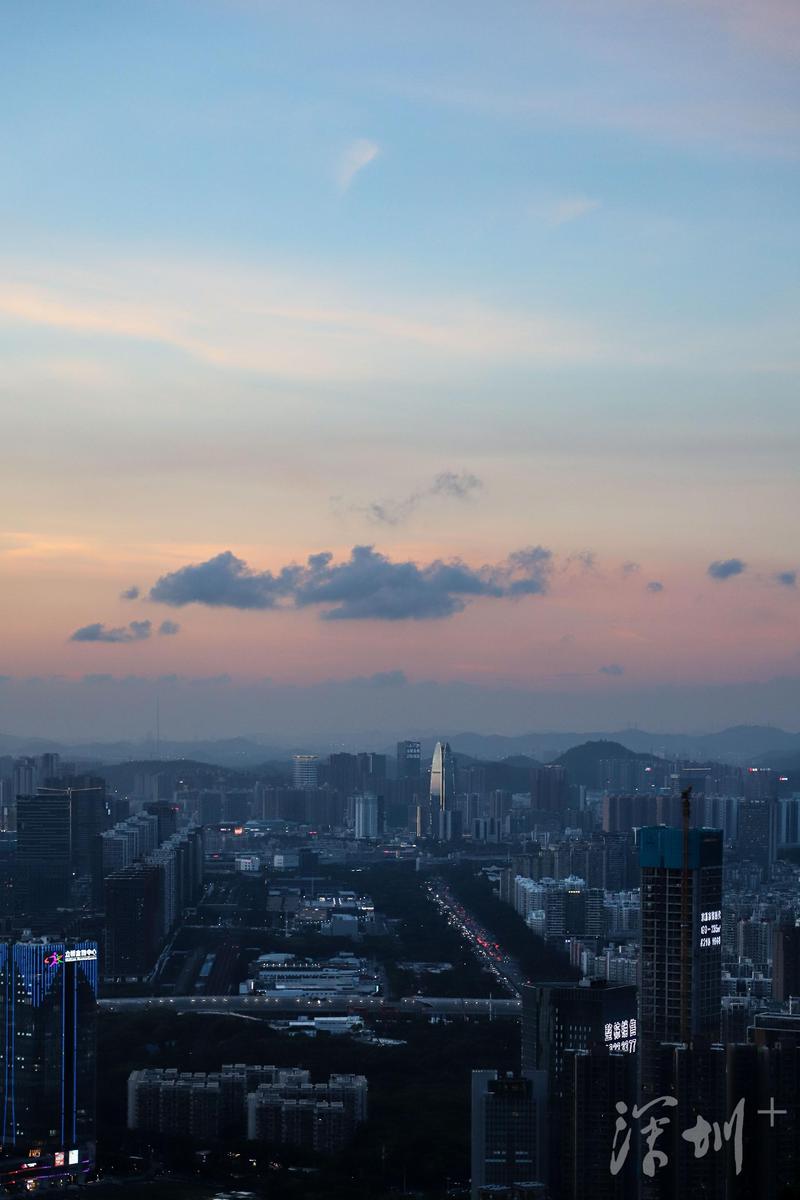 深圳湾公园最佳观景时间,深圳湾公园深圳市南山区最美公园