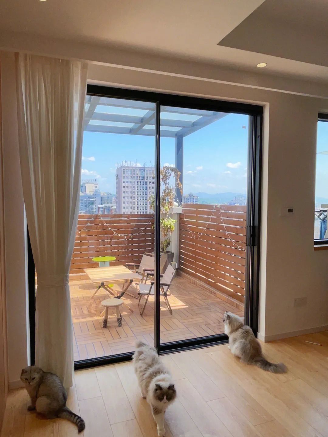 209m²只做两室?95后小夫妻说:这种浪漫,北上广的老破小给不了