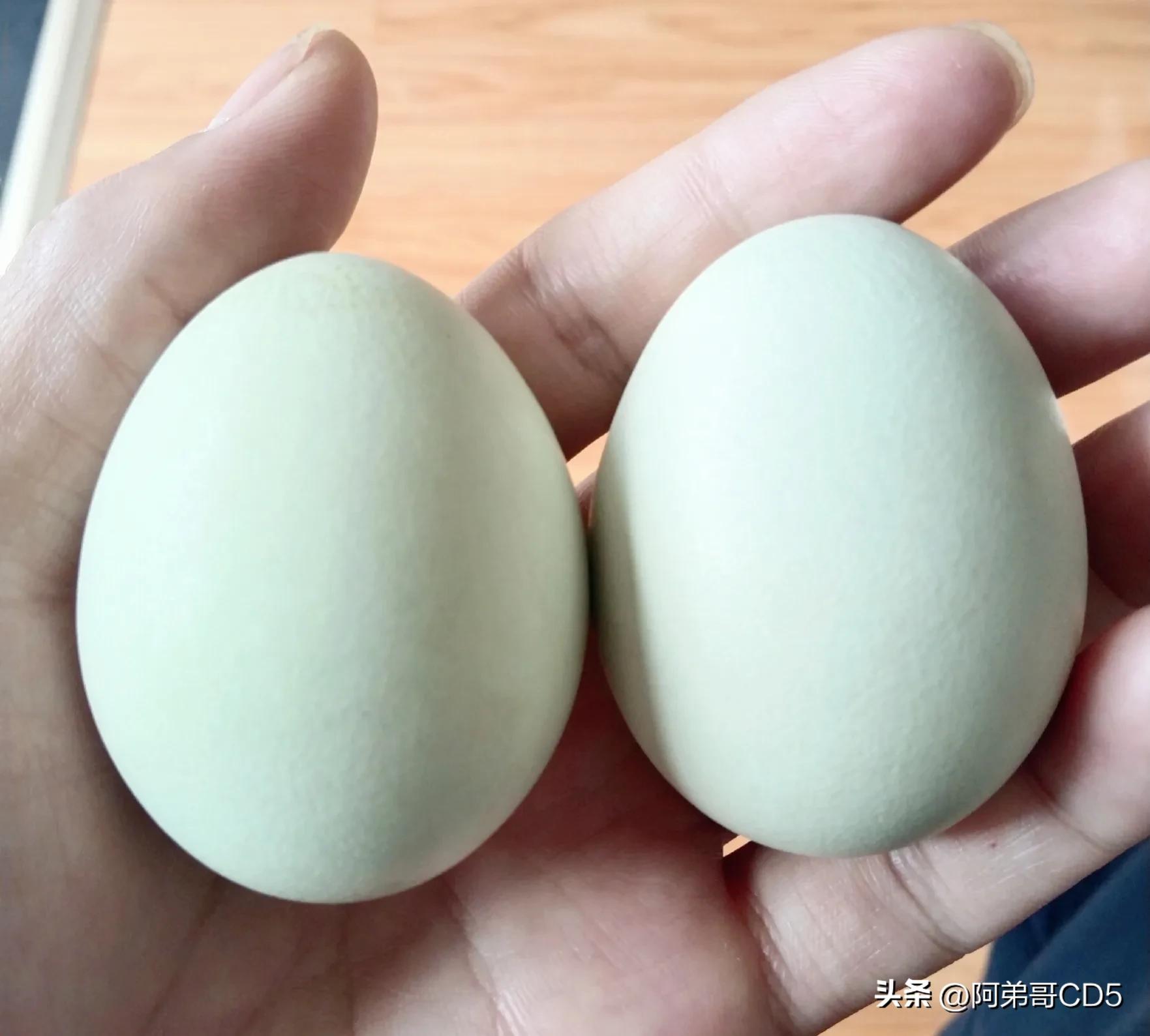 山里最好吃的竹笋,又到了吃野笋的季节了