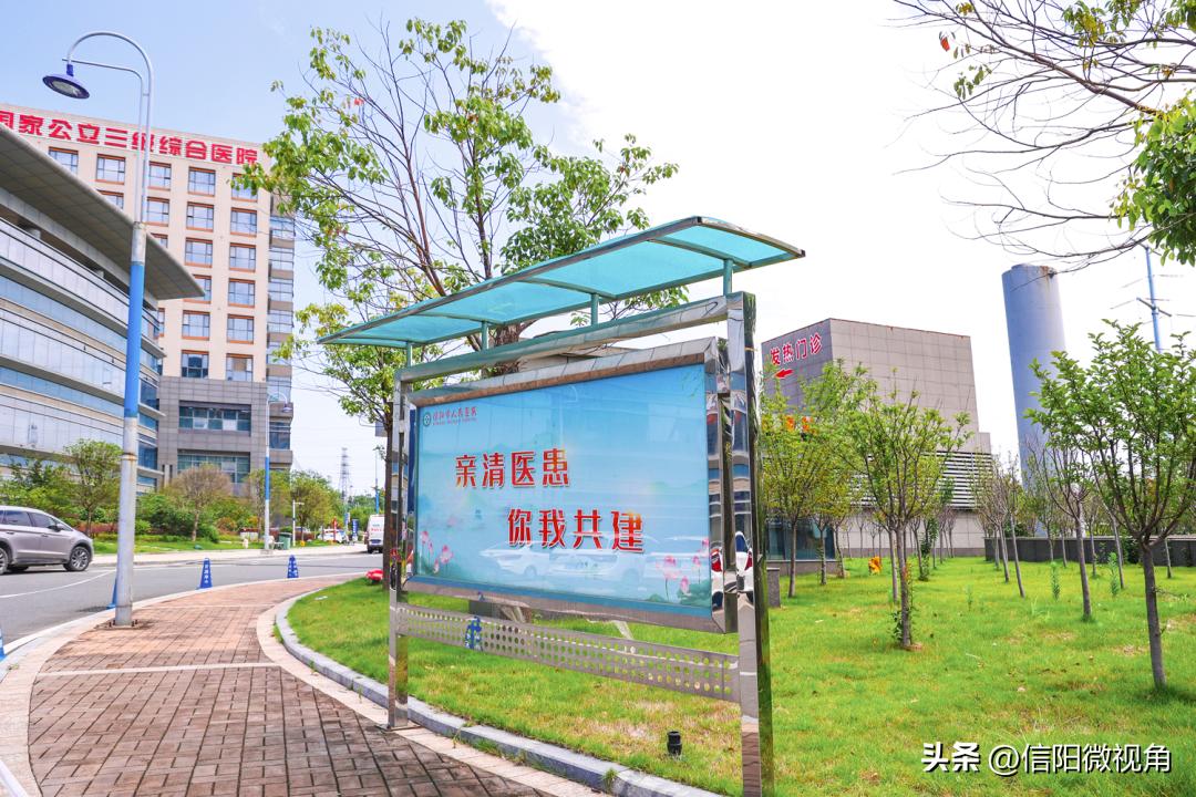 夏日限定!带您沉浸式体验信阳市人民医院的绿意芳香