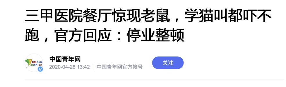 医院消灭老鼠小妙方,医院消灭老鼠的有效方法