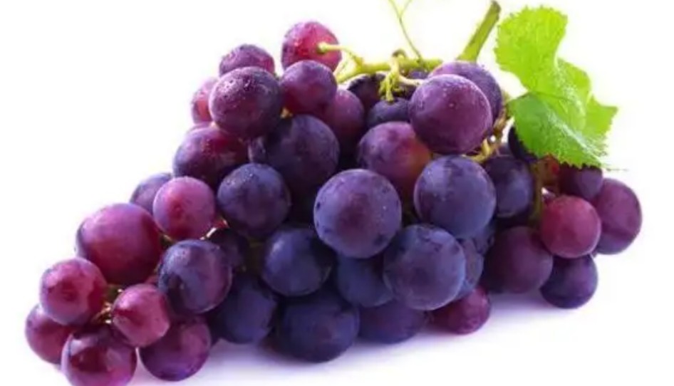 秋天干燥适合吃什么水果,广东秋天应季水果