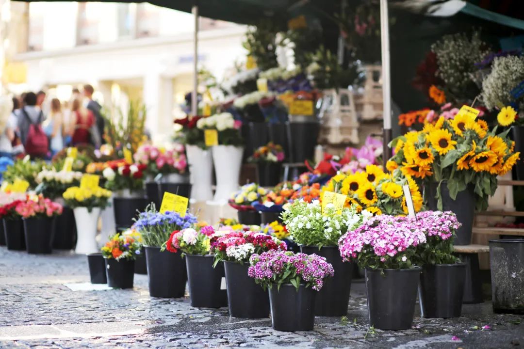 40岁的男人换工作该如何选择,中年男人换工作的困惑