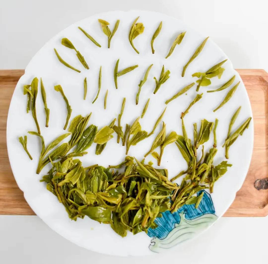 崂山绿茶和明前龙井,浙江绿茶好还是崂山绿茶好