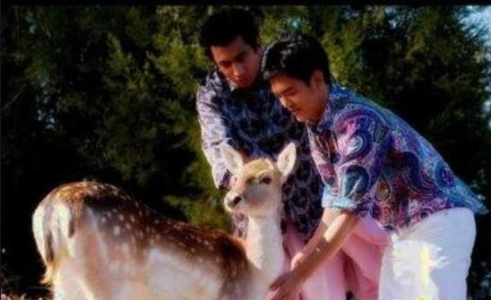 从惨败到友情,哈罗德和库玛为了爱与生活,出乎意料的搞笑逃亡！