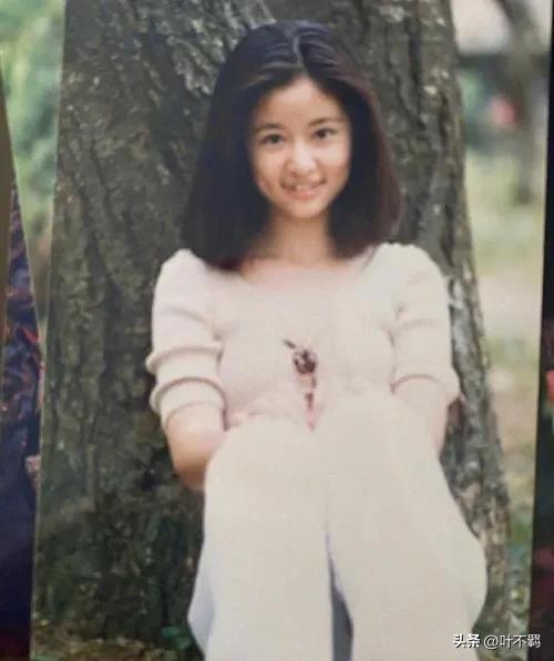 林心如周杰事件前因后果,还珠格格尔康被判刑