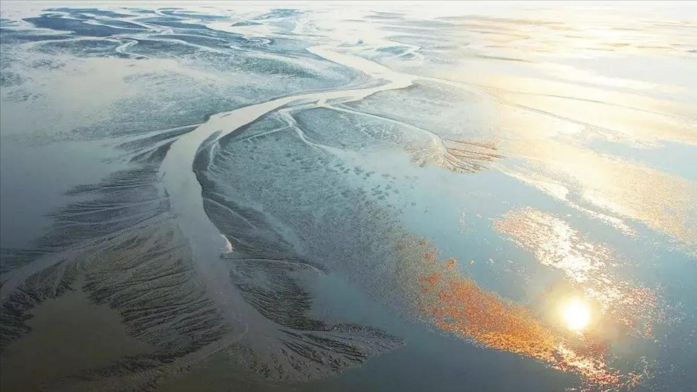 盐城千亿级县区,盐城一座打开心扉的城市图片