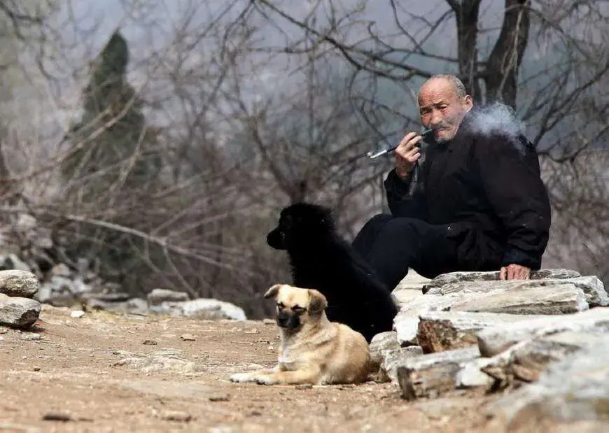 猪来穷狗来富猫来盖白布啥意思,猫来盖白布是什么意思