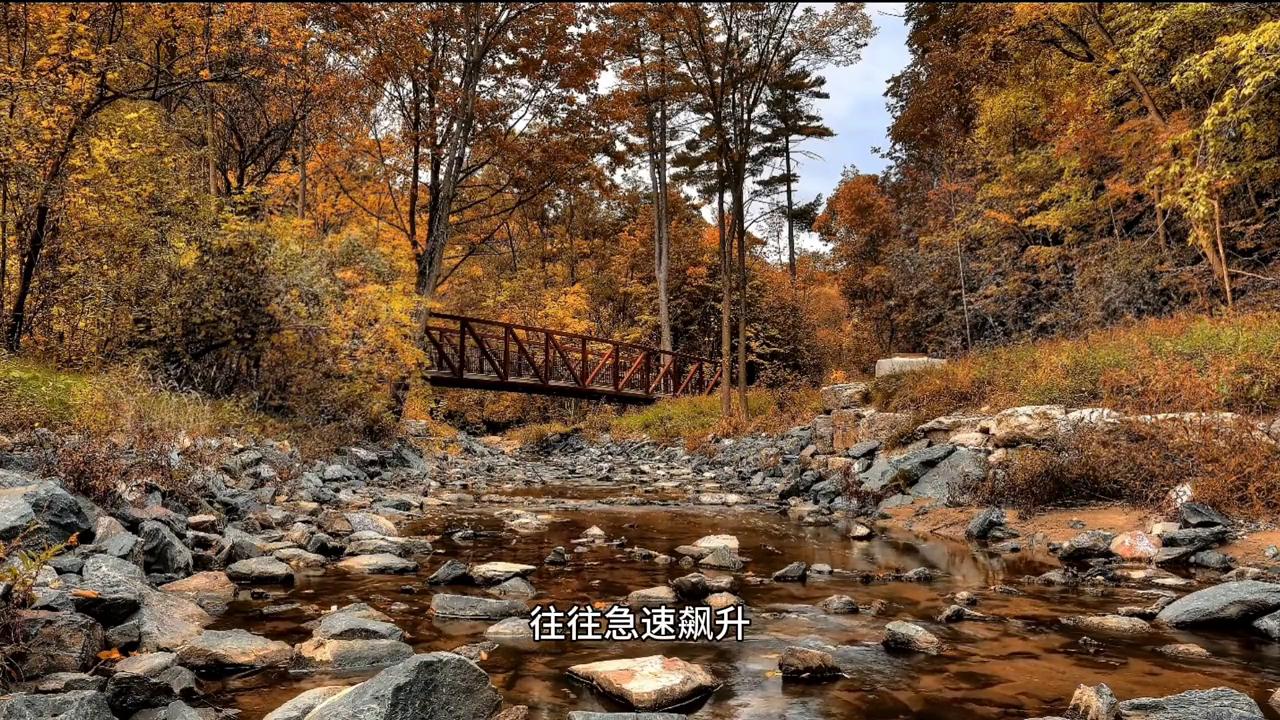 如何挑选适合自己的股票,如何选择适合自己的股票