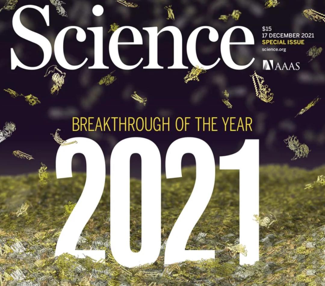 alphafold2实际运用,alphafold2