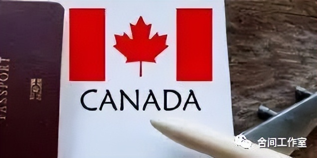 家长有加拿大枫叶卡孩子也会有吗,孩子生在加拿大父母怎么拿枫叶卡