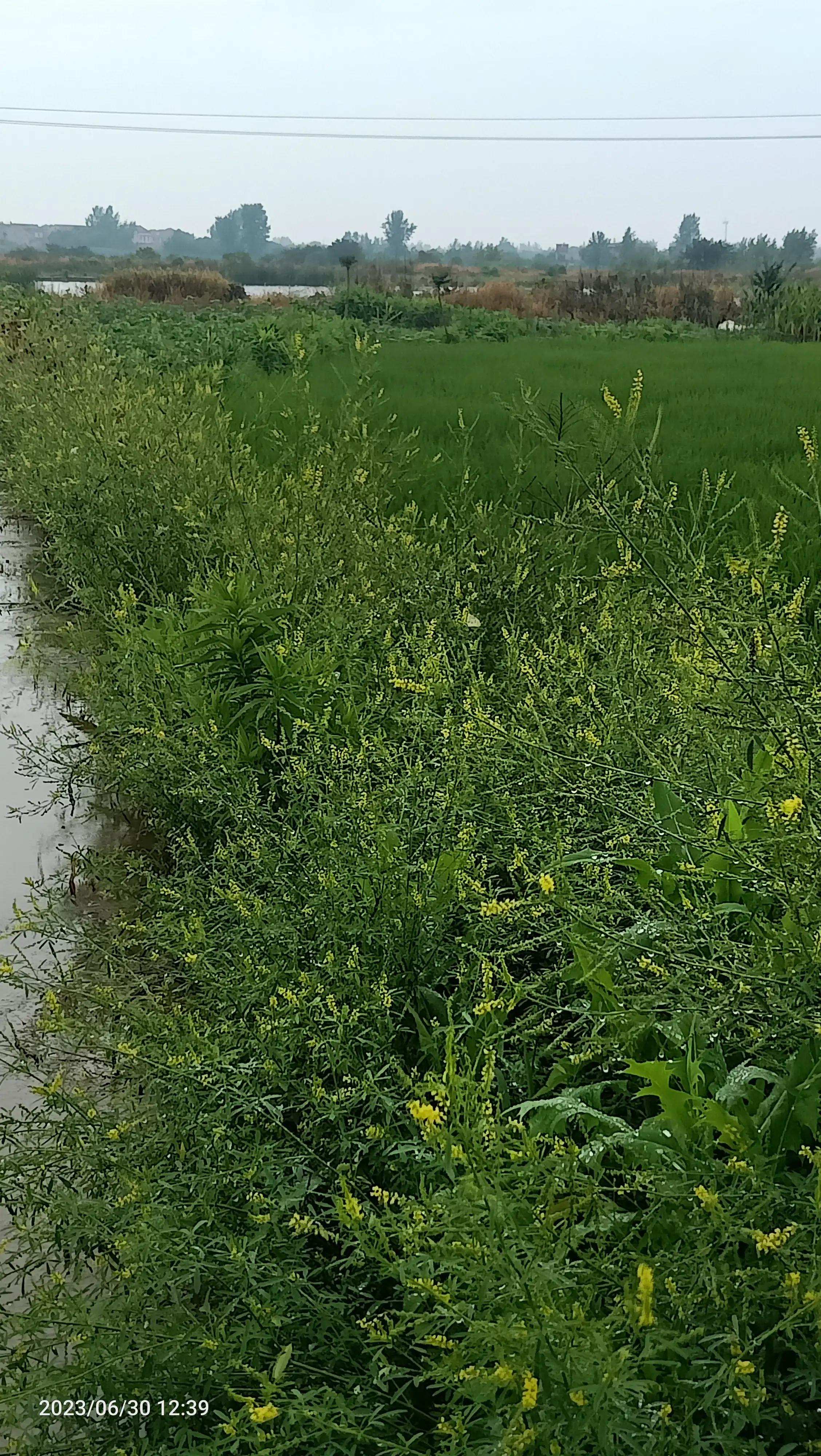 沌口海尔工业园叉车,武汉市蔡甸区东荆河路海尔工业园