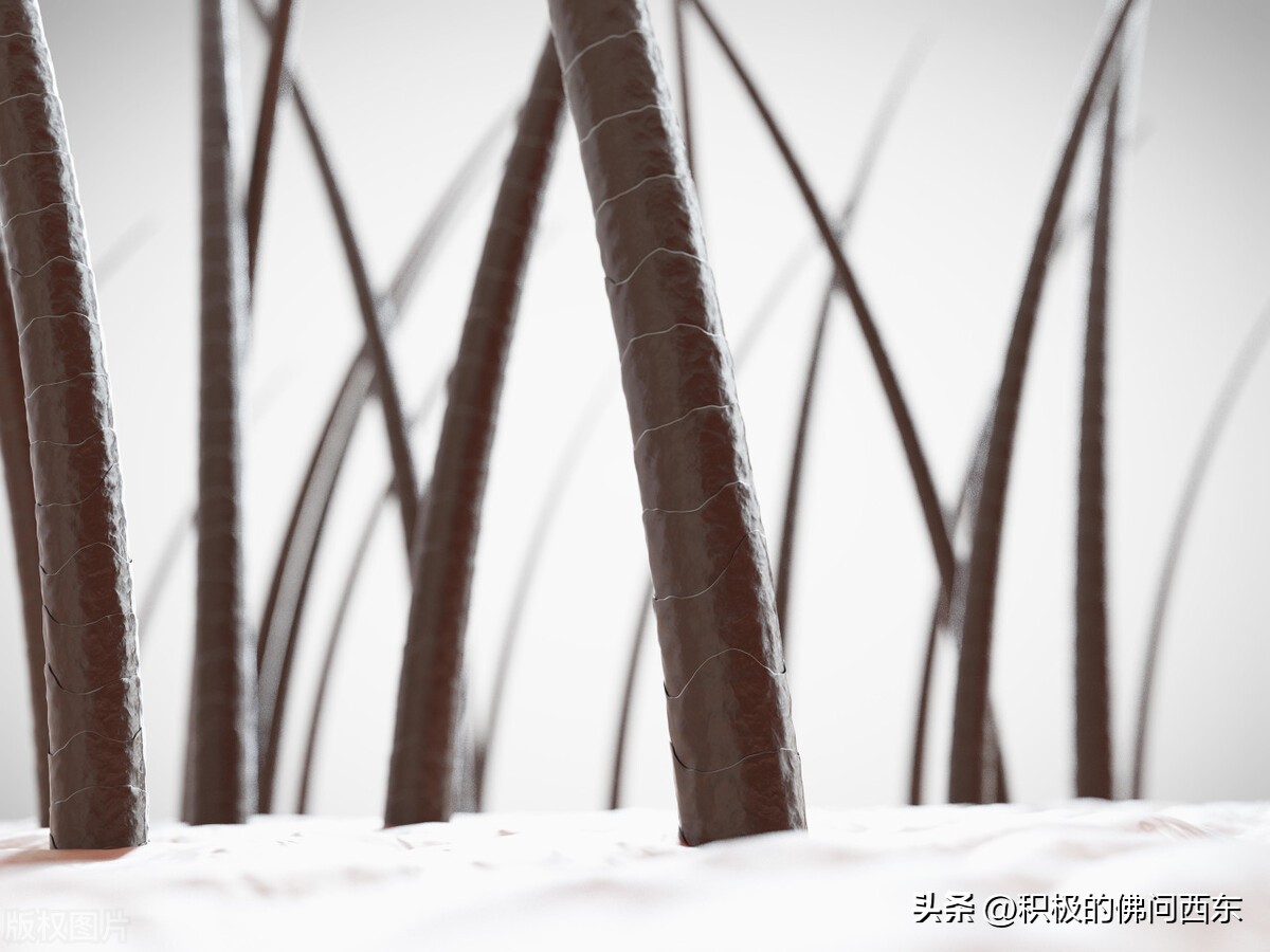 写小说取名素材大全集,第一章全是名字的小说