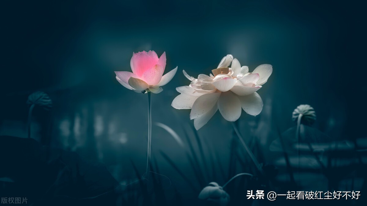 读书能挣到钱吗,这个时代读书真的可以赚钱吗