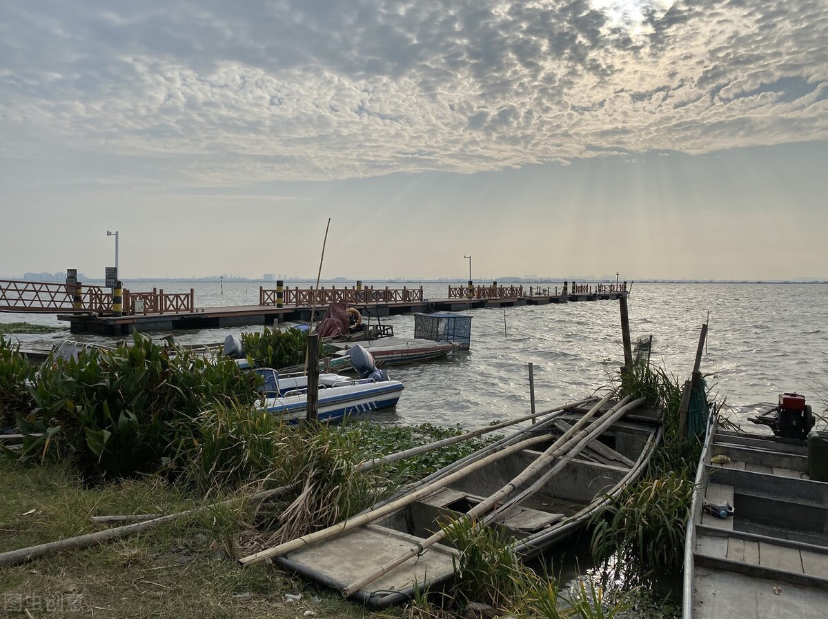 商家急了！洗澡蟹、纸螃蟹，吃货们不再买单，大闸蟹还有啥新花样